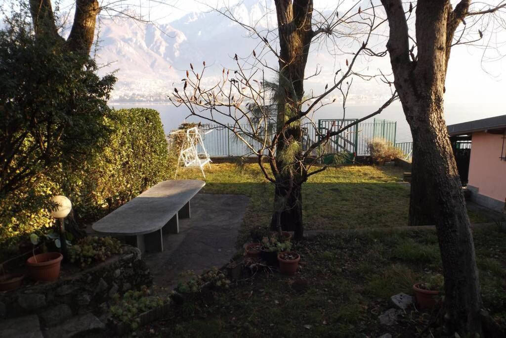 Como Lakeside Cottage - Lakefront Private Garden With Private Access To The Lake Onno المظهر الخارجي الصورة